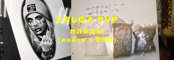 шишки Майский