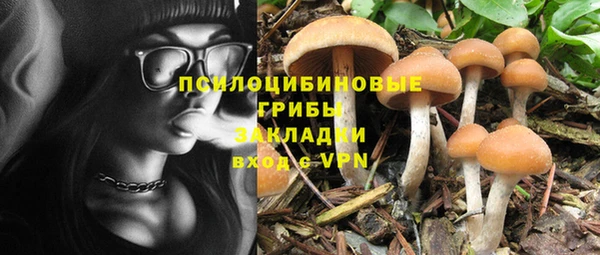 ешки Медвежьегорск